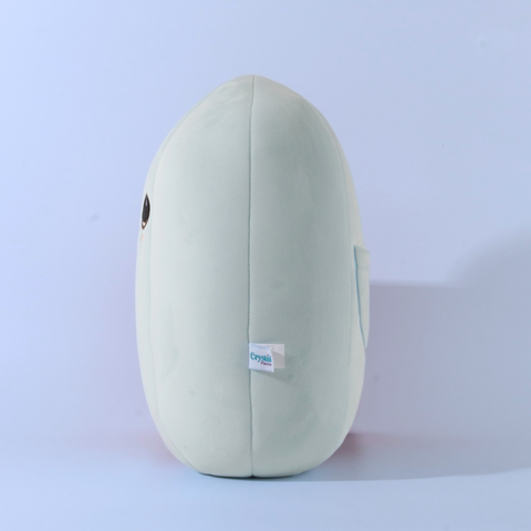 Callie The Clear Quartz Master Healer