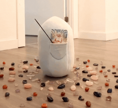 Callie The Clear Quartz Master Healer